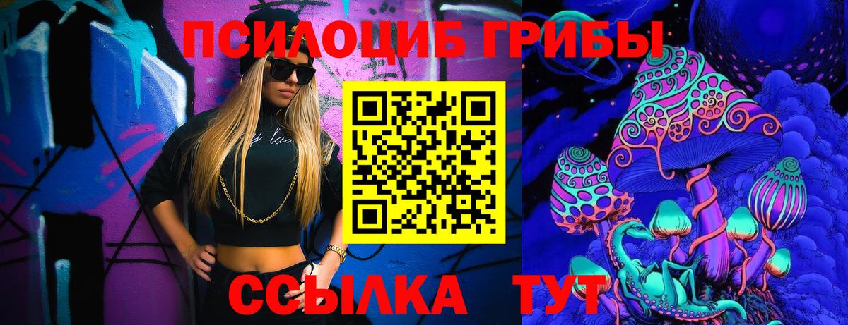 Тула  Псилоцибиновые грибы Cubensis  Вход с VPN 